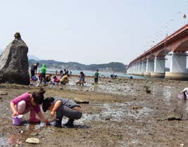 거북선농촌체험휴양마을